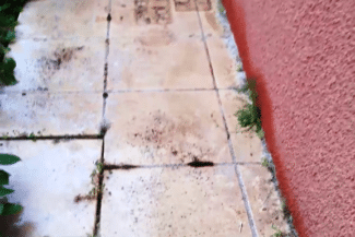 Dalles de terrasse encrassées avant nettoyage