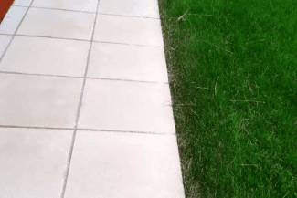 Dalles de terrasse nettoyées en bordure de pelouse