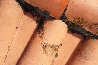 remplacement de tuiles