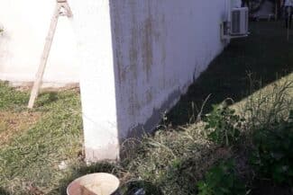 Mur de clôture blanc en limite de terrain enherbé