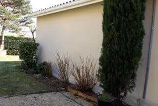 Mur clair rénové bordé de haies à Fonsorbes