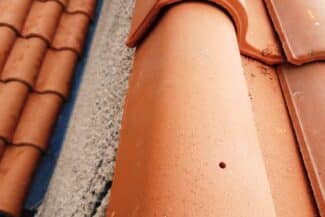 Solin en mortier le long d'un mur de refend à Plaisance-du-Touch