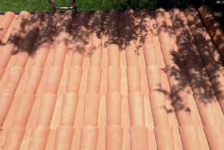 Toiture en tuiles claires ombragée par un arbre à Plaisance-du-Touch