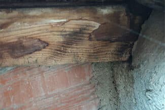 Bois De Charpente Attaqué Par Les Insectes