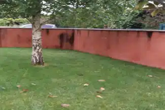 Mur De Clôture Encrassé Avant Nettoyage