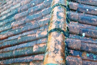 Tuiles envahies de mousse verte et de lichens avant nettoyage à Fonsorbes