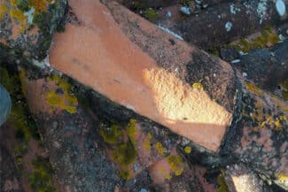 Tuiles Fissurées Couvertes De Lichens Sur Une Toiture
