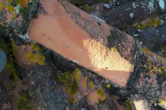 Tuiles Fissurées Couvertes De Lichens Sur Une Toiture