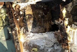 Bois De Charpente Dégradé Par L'humidité