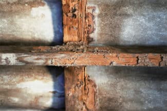 Tête De Poutre Dégradée Insérée Dans La Maçonnerie