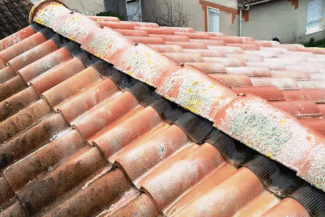 Tuiles couvertes de lichens avant démoussage à Tournefeuille