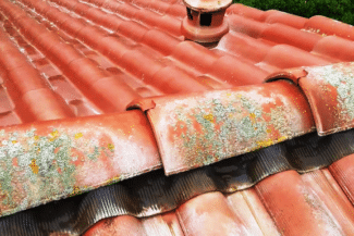 Tuiles couvertes de lichen sur une toiture avant traitement