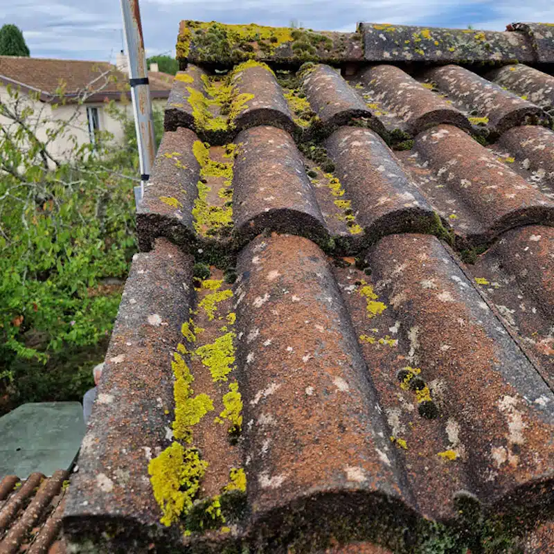 Tuiles couvertes de lichen sur une toiture à Lévignac
