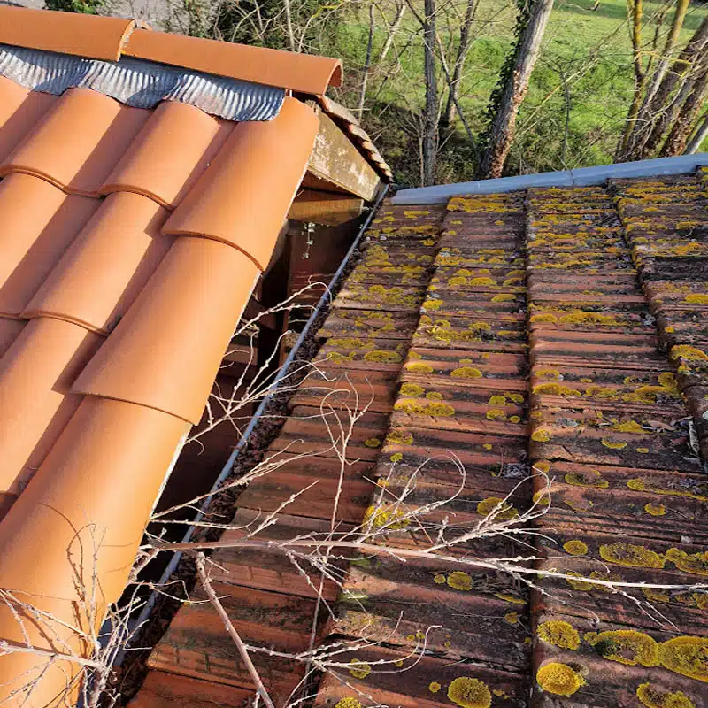 Toiture envahie de lichens jaunes avant intervention à Saint-Martin-du-Touch