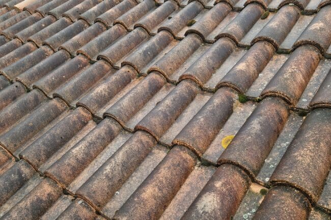 Mousse et lichen installés entre les tuiles à La Salvetat-Saint-Gilles
