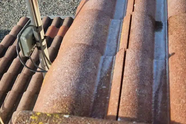 Rive de toiture envahie par le lichen avant démoussage à La Salvetat-Saint-Gilles
