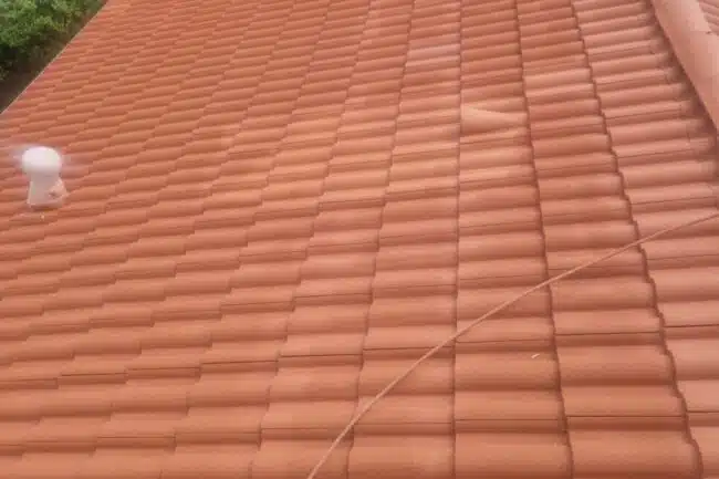 Versant de tuile béton protégé et redevenu uniforme à La Salvetat-Saint-Gilles