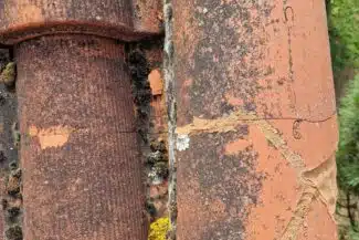 Tuile canal fendue et couverte de lichen sur un toit de Colomiers