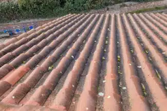 Toiture encrassée par la mousse avant nettoyage à Grenade