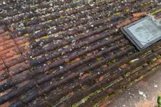 Mousse et lichen jaune autour de la fenêtre de toit à Grenade