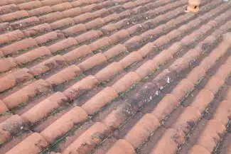 Couverture en tuile romane envahie par la mousse à Pibrac